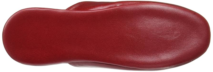 (未使用･未開封品)　遠藤商事 業務用 抗菌スリッパ L ワイン SSK-5151 アンリンPVC 日本製 VSL2001 og8985z Amazon.co.jp: 遠藤商事 業務用 抗菌スリッパ L ワイン SSK-5151